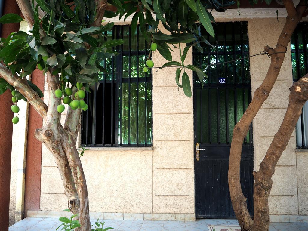 Manuhie Backpackers Lodge Bahir Dar Rum bild