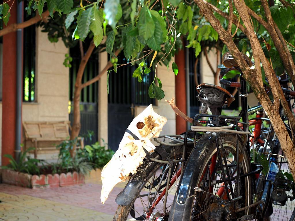 Manuhie Backpackers Lodge Bahir Dar Rum bild