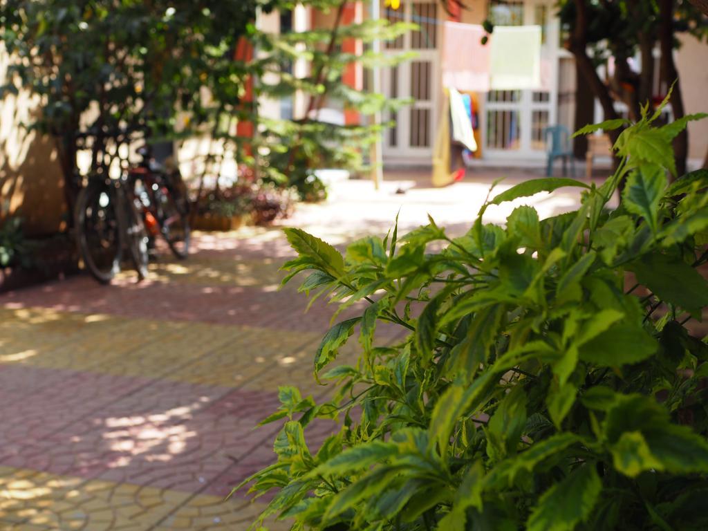 Manuhie Backpackers Lodge Bahir Dar Rum bild